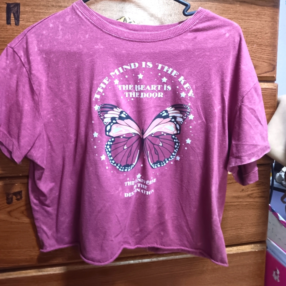 Salmon "The mind is key, heart is door, universe is destination" Cropped tee